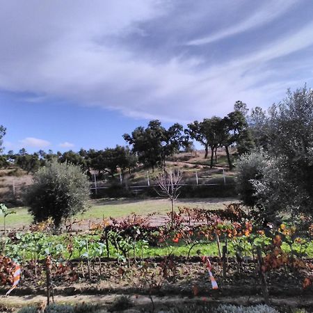 Hotel Monte Familia Ferreira Vale de Acor Esterno foto